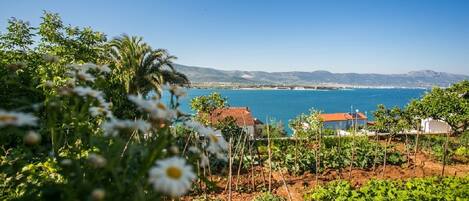 Apartment (A1) | Terrace/patio