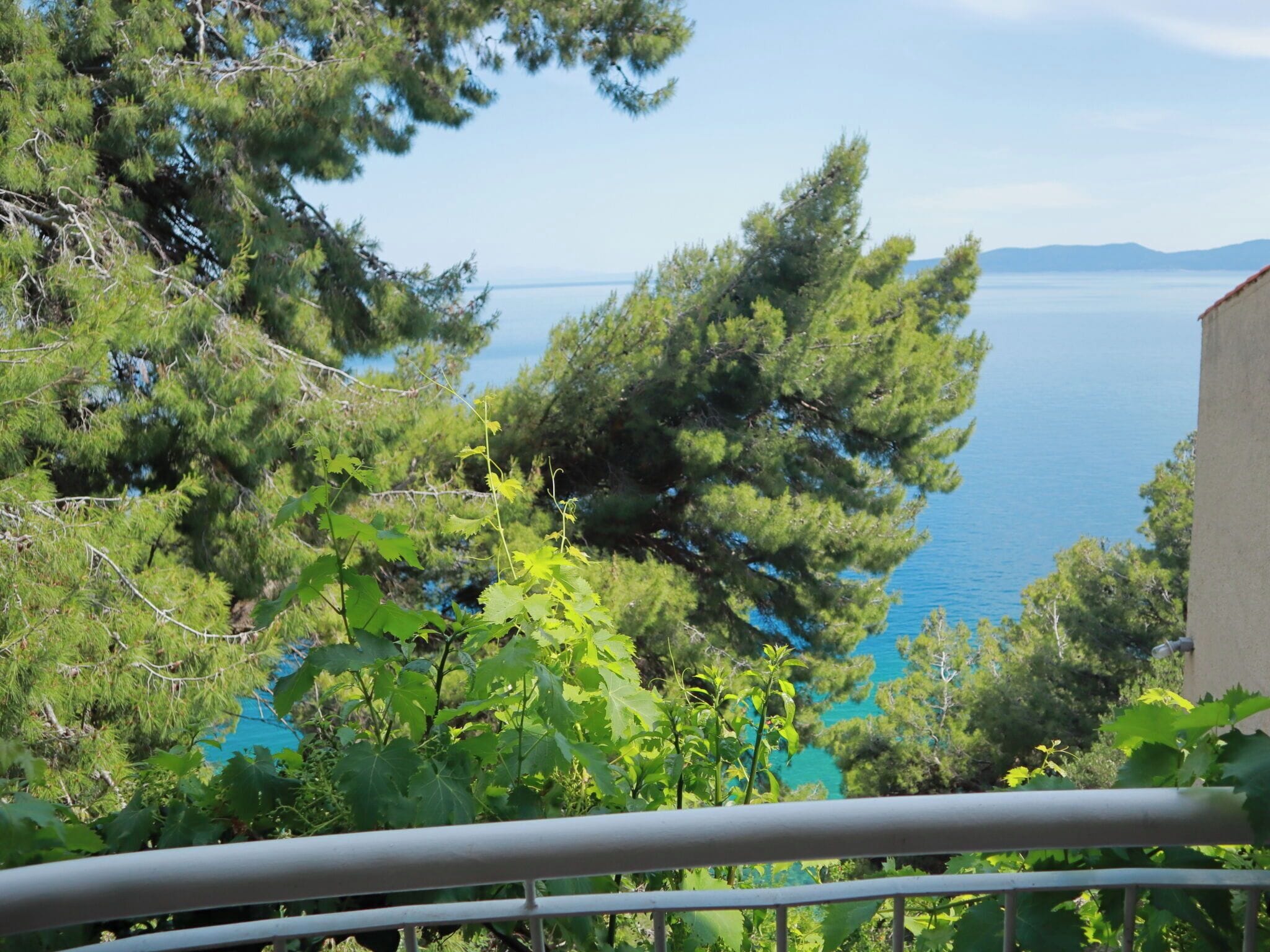 Studio (A3) | Terrasse/Patio