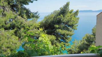 Studio (A3) | Terrasse/Patio