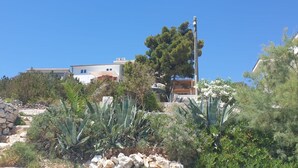 Una proprietà in posizione collinare con un muro in pietra, diverse piante e un edificio con tetto rosso.