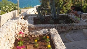 Un giardino di pietra con fiori, un albero e vista sul mare.