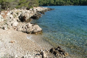 A rocky shoreline with clear water and a forested background.