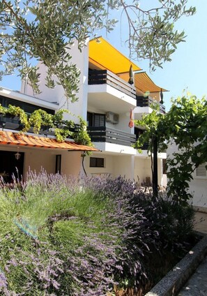 Building design - Apartments Emily (Jelsa)