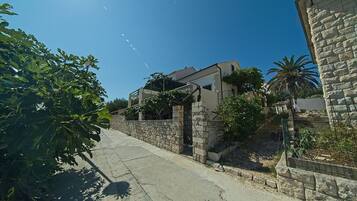 Una calle residencial con muros de piedra, una casa moderna y un árbol de higos.