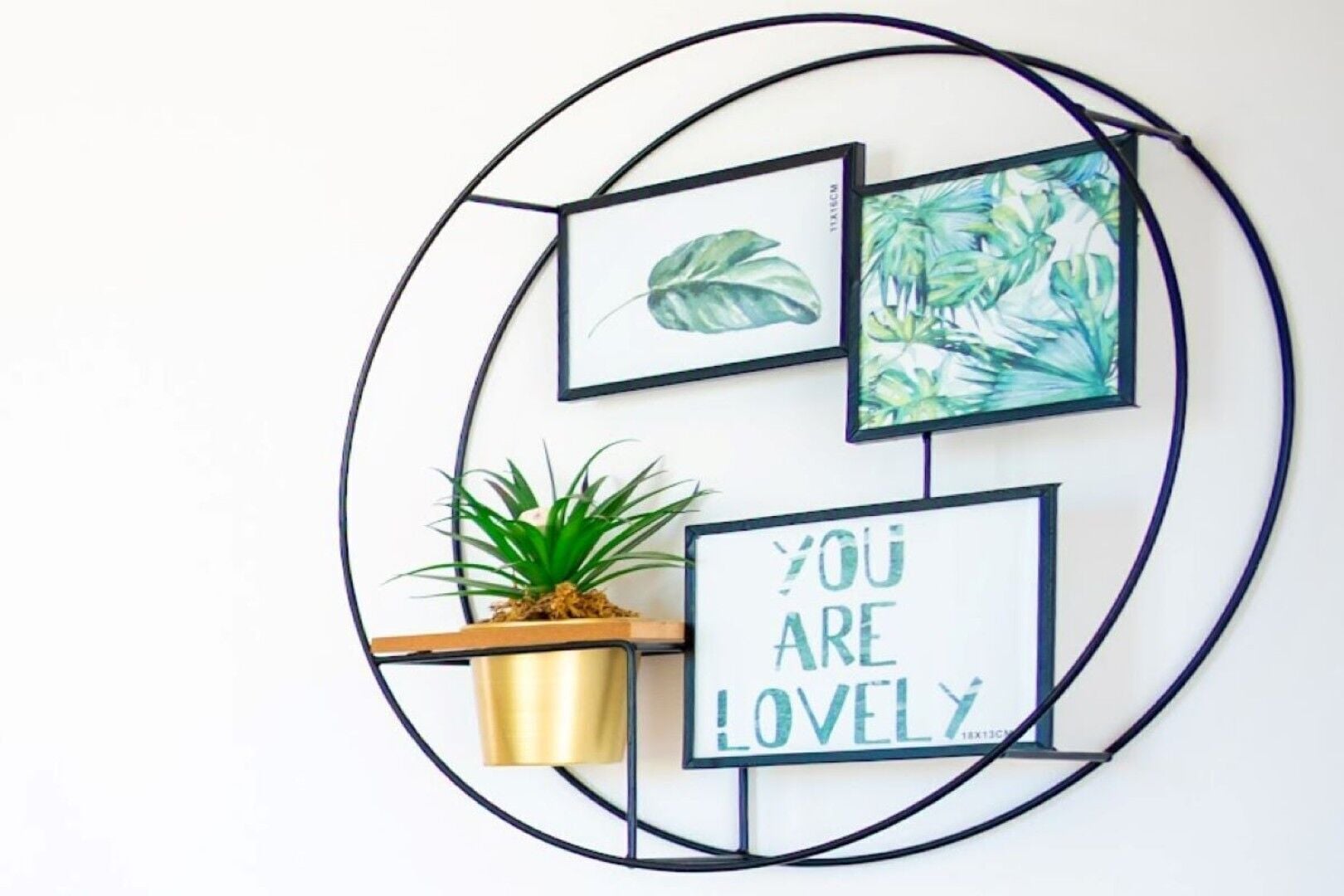 A wall with a circular metal frame holding three framed pictures and a potted plant.
