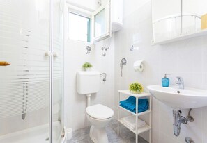 Maison | Salle de bain | Douche