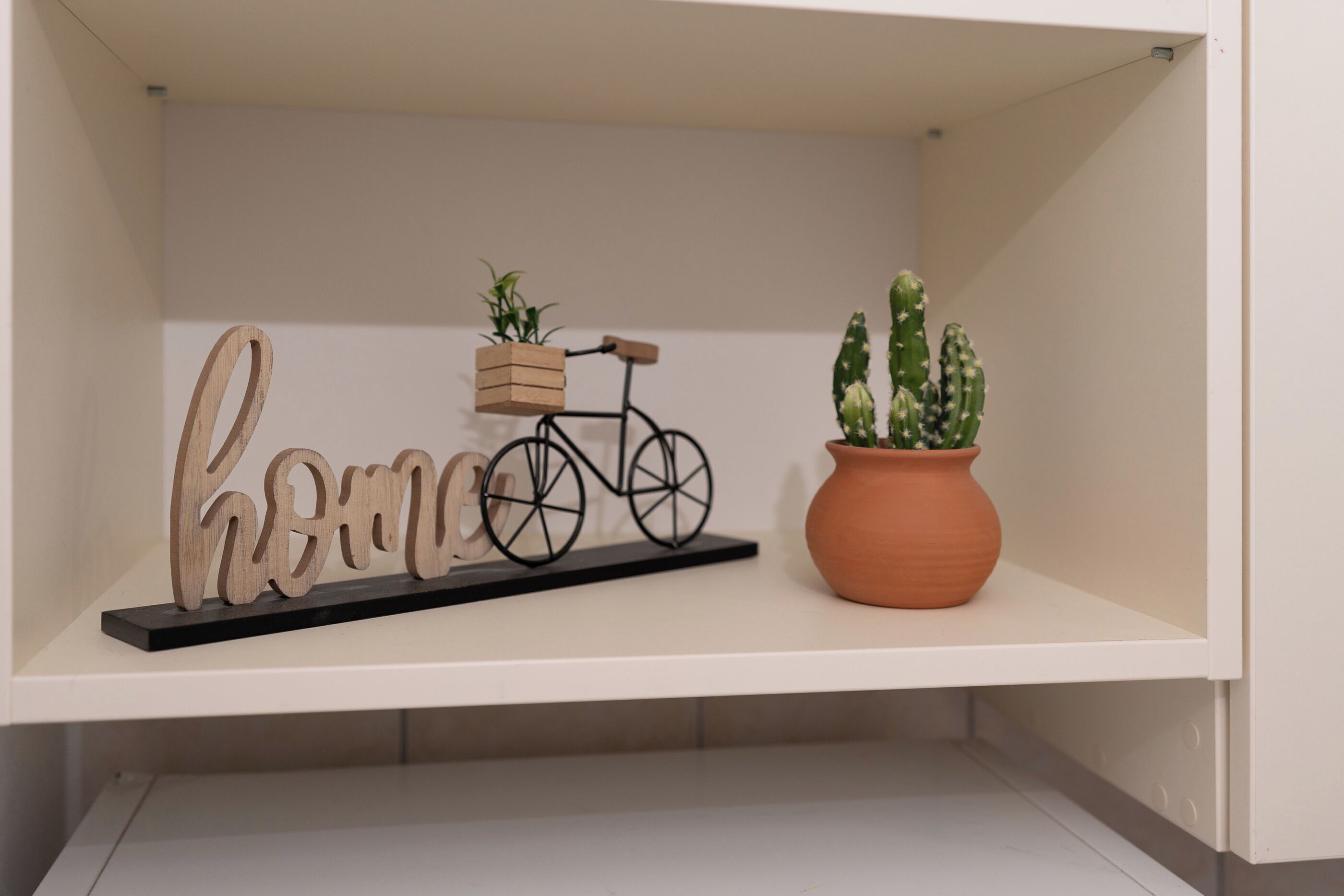 A shelf with a wooden sign, a small bicycle planter, and a potted cactus.
