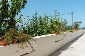 Courtyard - Apartments Andrija (Razanac)