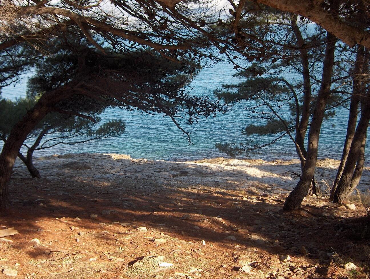 Una playa con árboles y un litoral rocoso.