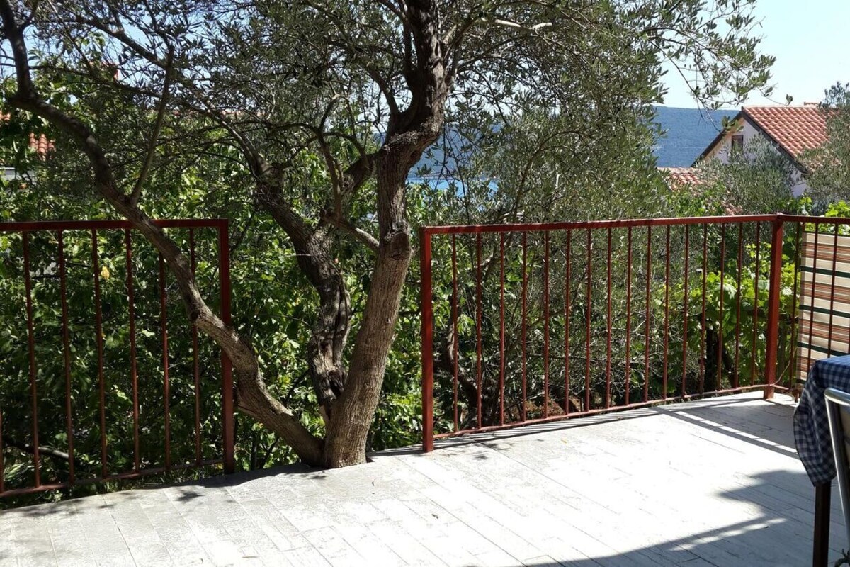 Appartement (A1) | Cour