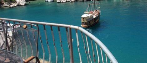 ハウス | 施設の敷地