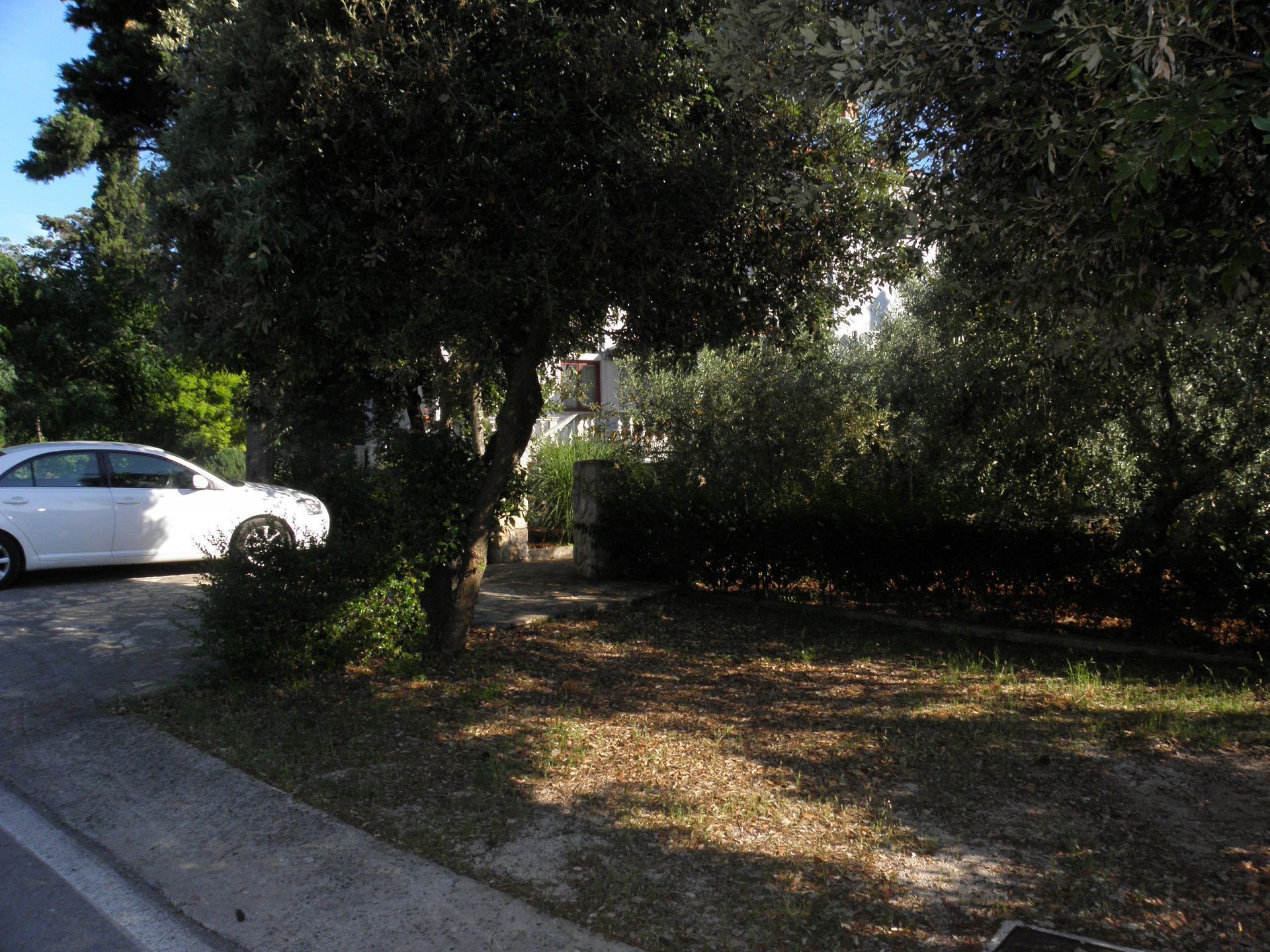 A white car parked on a paved road with a grassy area and trees in the background.
