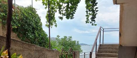 Apartment (A1) | Courtyard