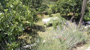 A garden with various plants and a table. - Apartments Zvone (Bibinje)