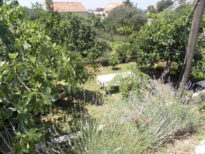 Garden - Apartments Zvone (Bibinje)