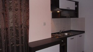 A small kitchenette with a sink, stove, and cabinets. - Apartment Zana (Sali)