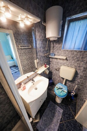 Un baño pequeño con un lavamanos blanco, un inodoro con el asiento decorado con tema de delfín, un calentador de agua blanco y una ventana con cortinas azules.