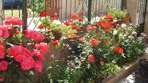 Puutarha