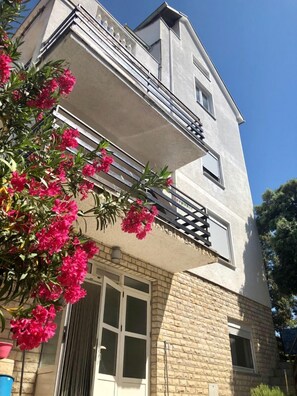 Building design - Apartments Kate (Nin)