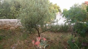 Un jardin où l’on trouve une grande variété de plantes et un mur en pierre.