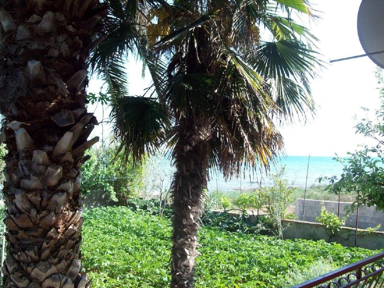 حديقة