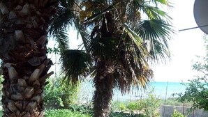 A view of a coastal area with a palm tree and greenery. - Apartments Teo (Privlaka)