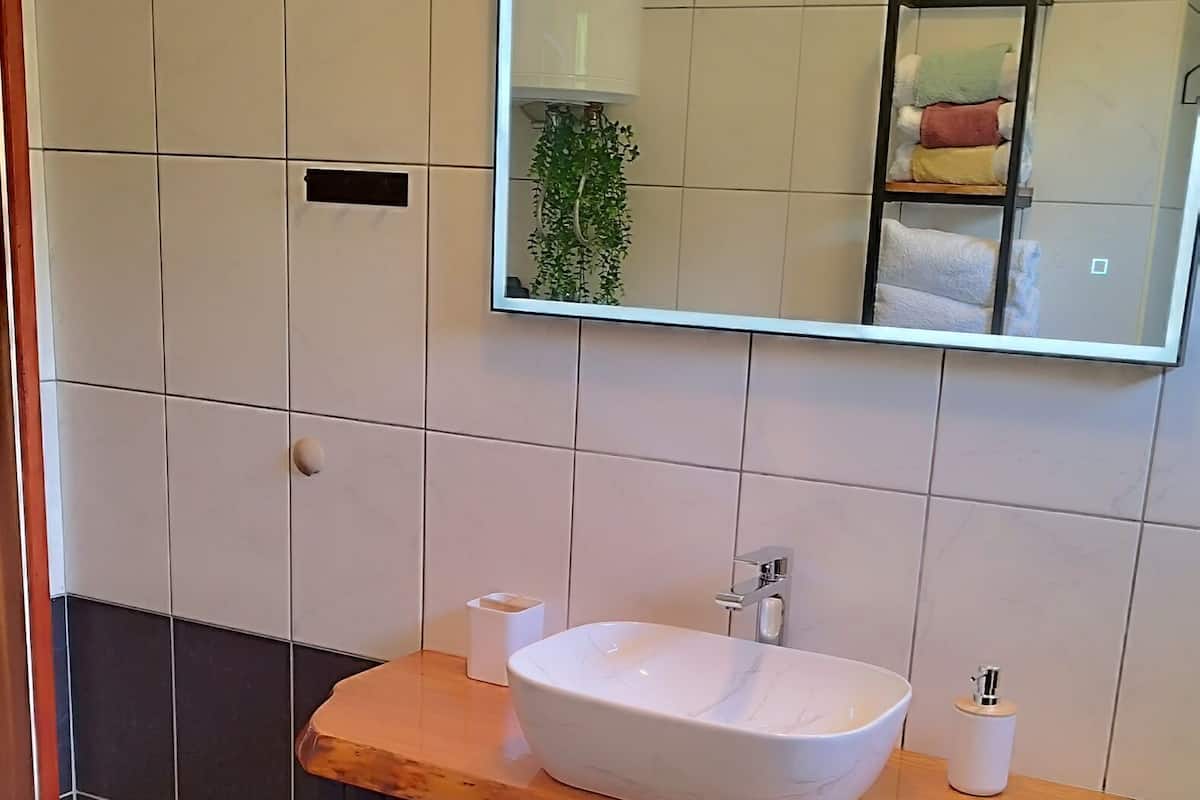 Apartment (A3) | Badezimmer | Seife, Toilettenpapier