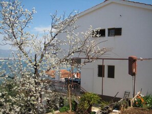 Courtyard - Apartments Petar (Trogir)