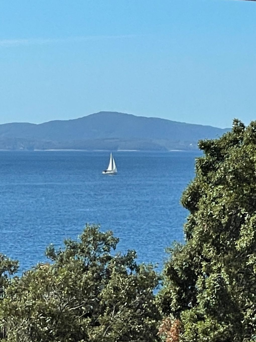 Apartment (A3) | Water view
