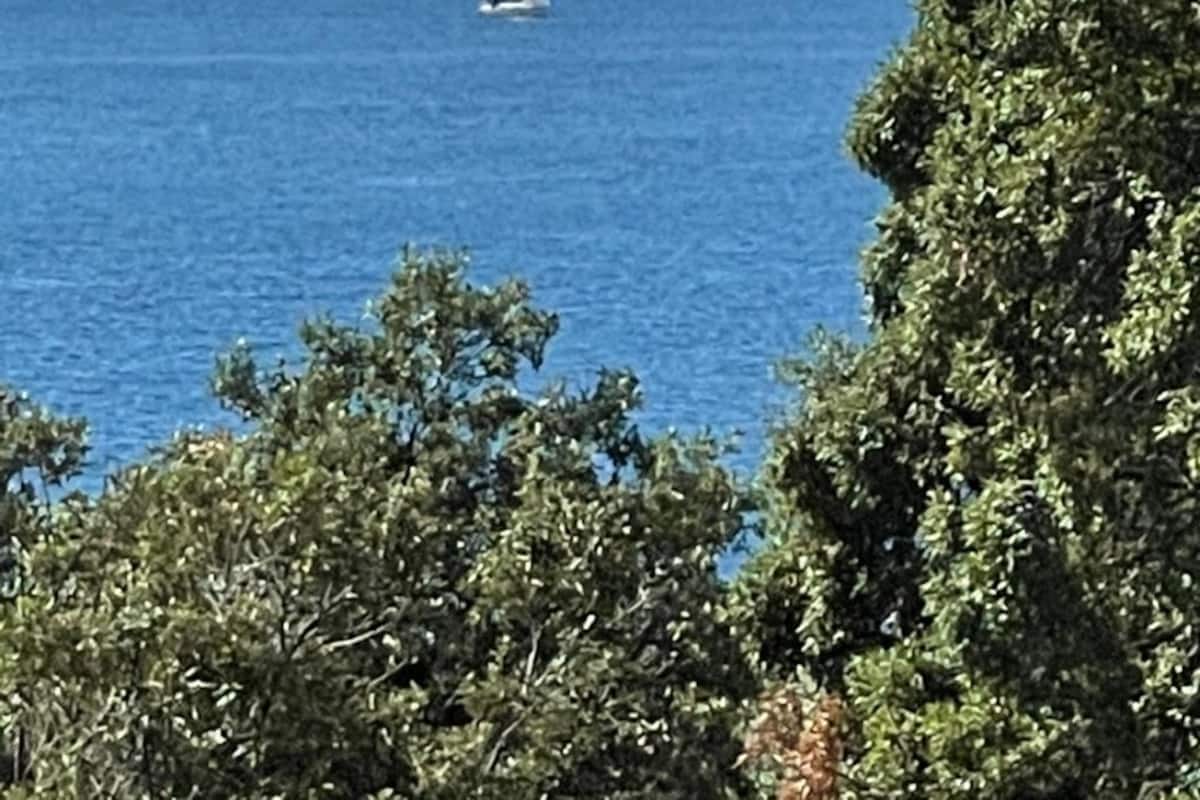 A sailboat on a calm sea with a mountain in the background.