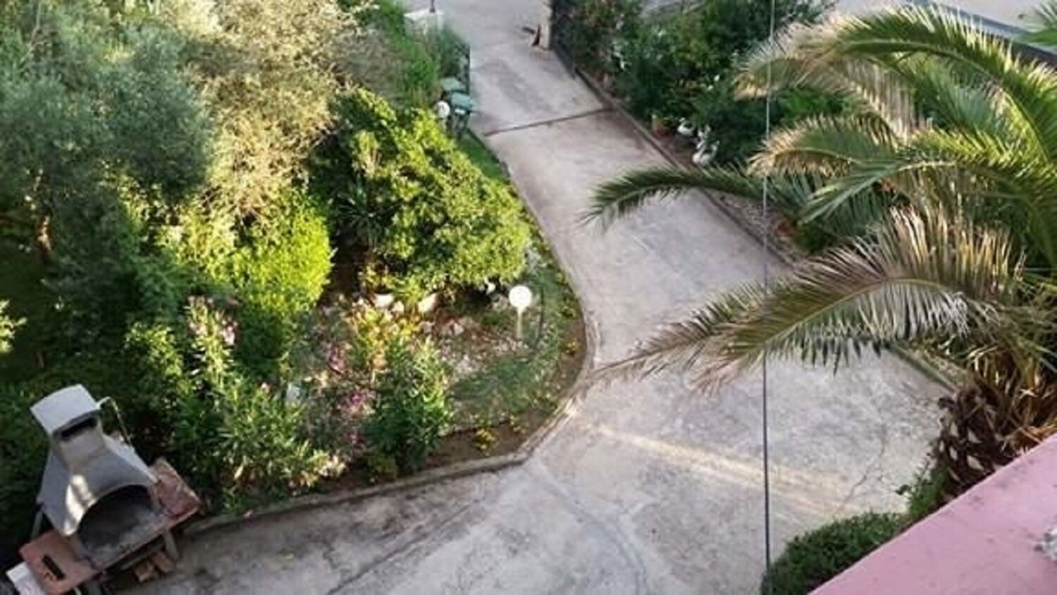 Zona residencial con camino pavimentado, vegetación exuberante y una palmera.