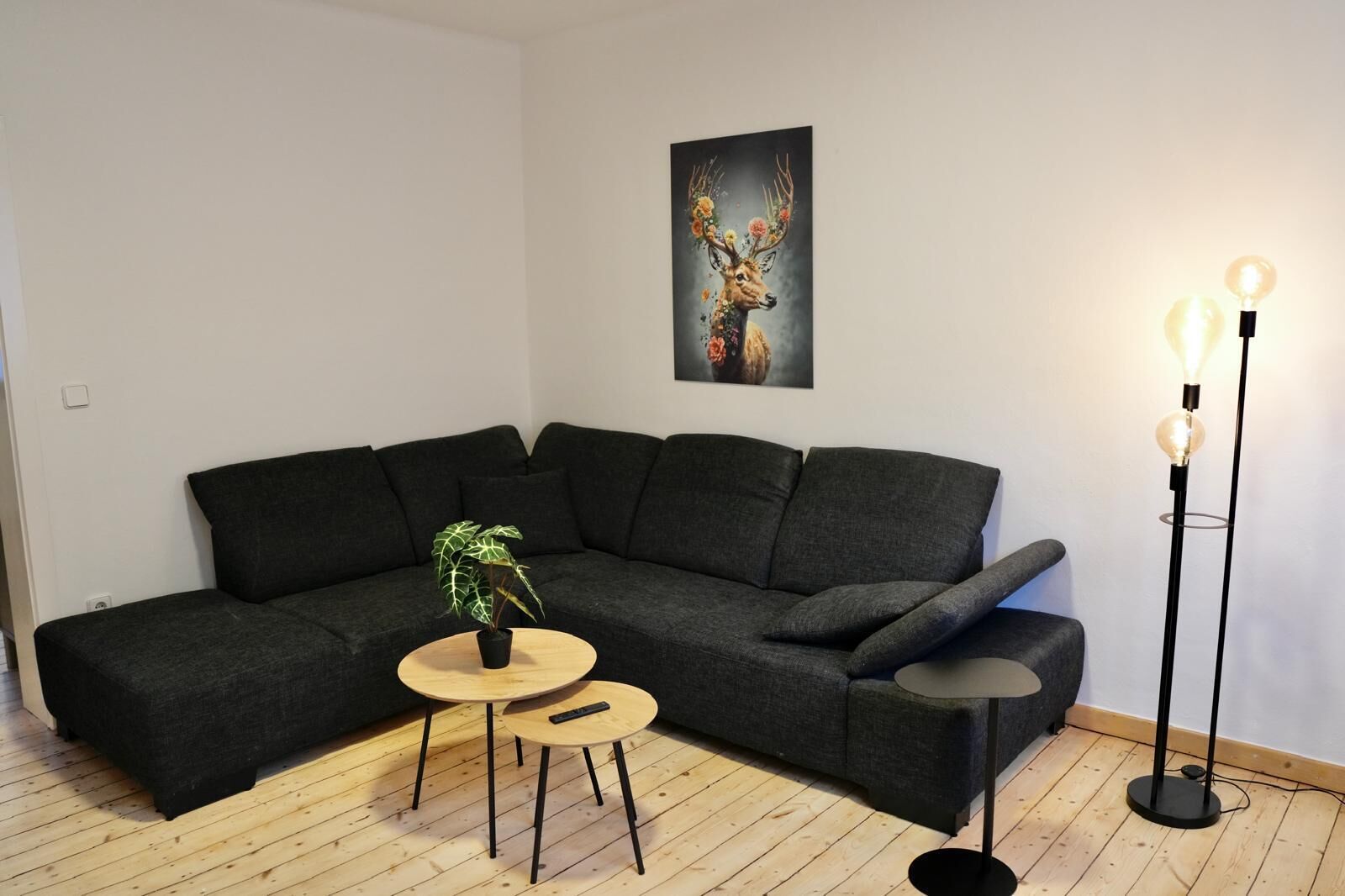 Appartement 2-gemütliche Couch im Wohnraum