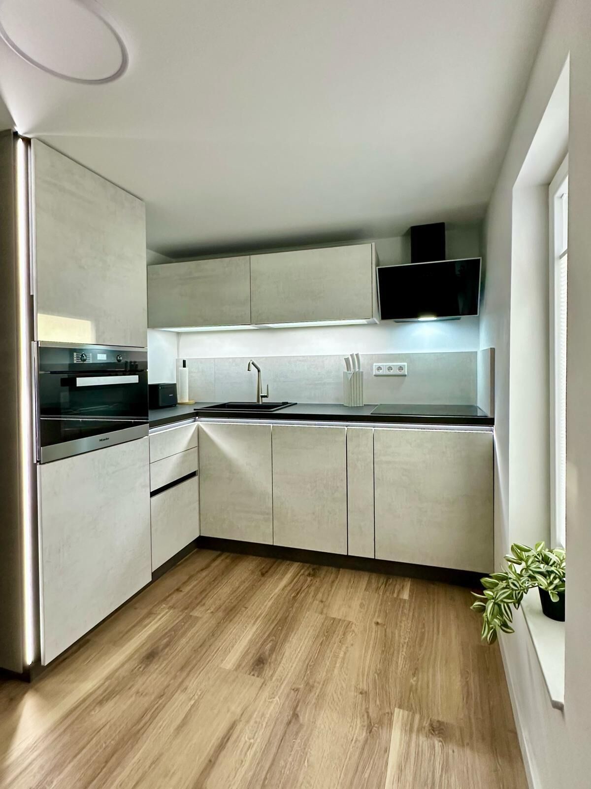 Frigorífic, microones, placa de cuina i rentaplats 