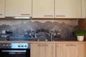 Fridge, oven, stovetop, dishwasher - I in the Anton house (Obermaiselstein)