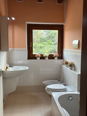Haartrockner, Handtücher, Seife, Toilettenpapier