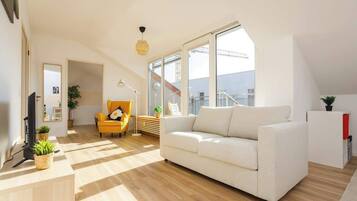 Fernseher, Arbeitsbereiche