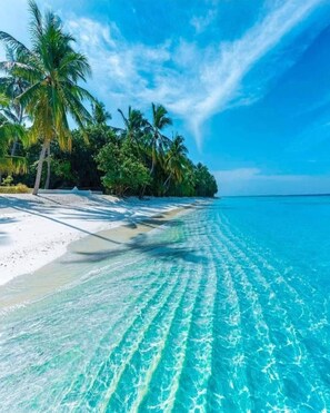 Una playa con aguas turquesas cristalinas, arena blanca y palmeras.