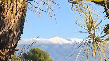 DĂ©tail de lâextĂ©rieur