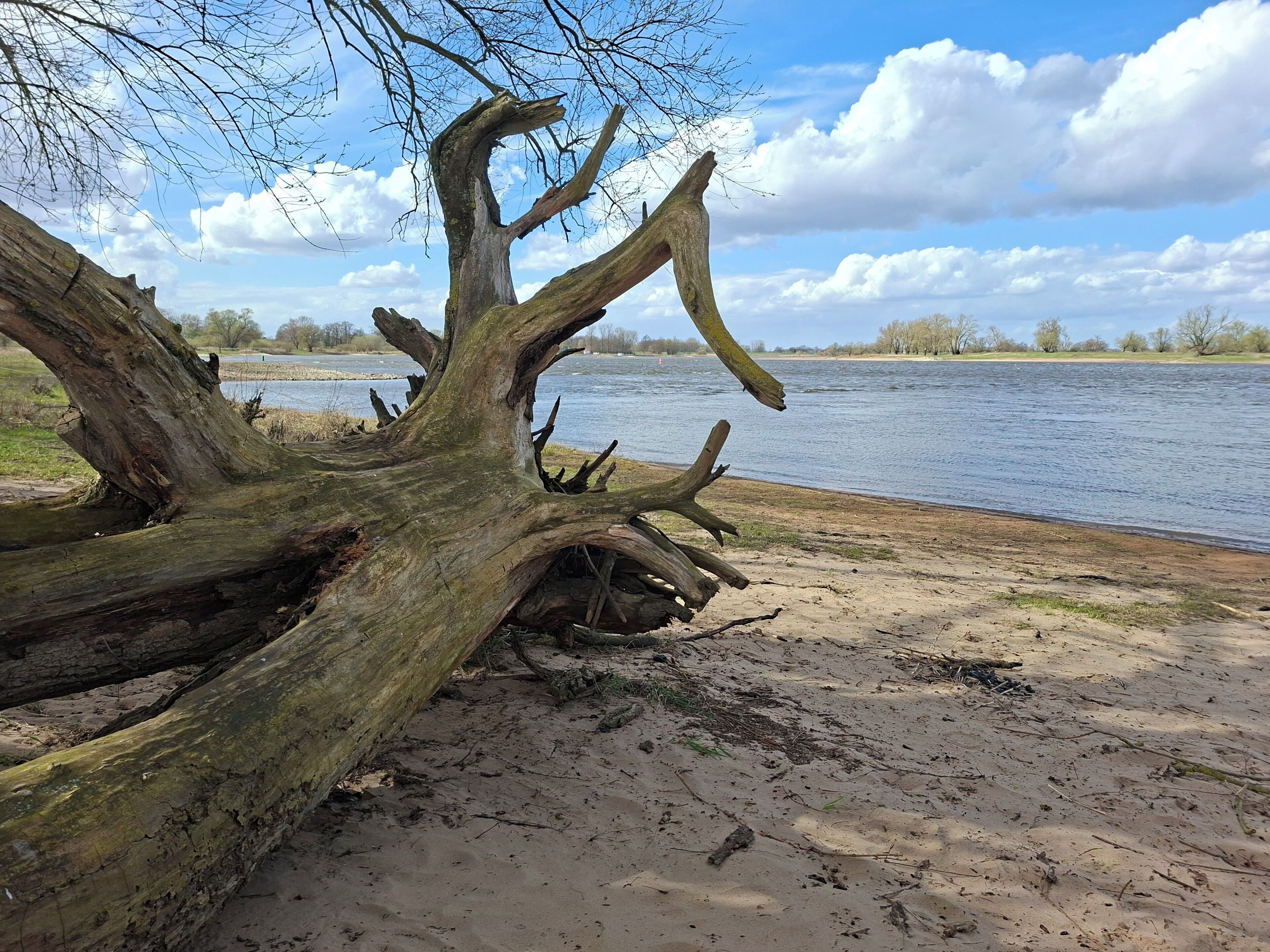 Sillas reclinables de playa