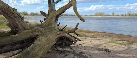Sillas reclinables de playa