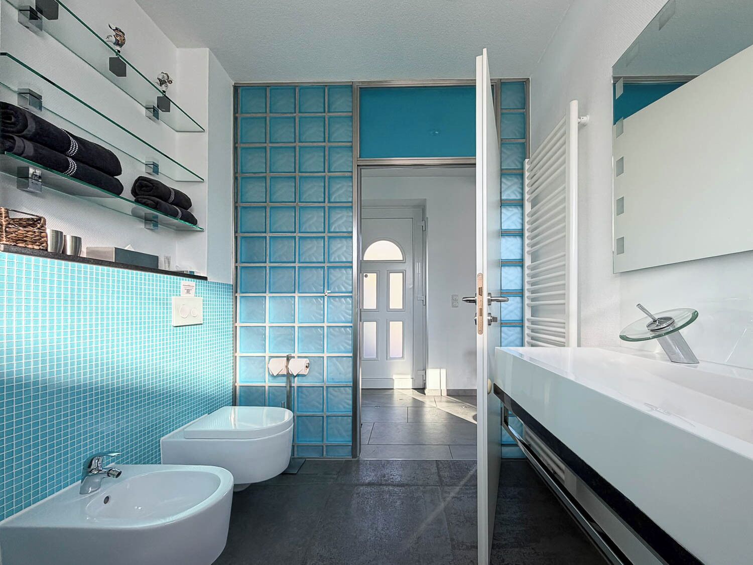 Shower, hair dryer, bidet, towels