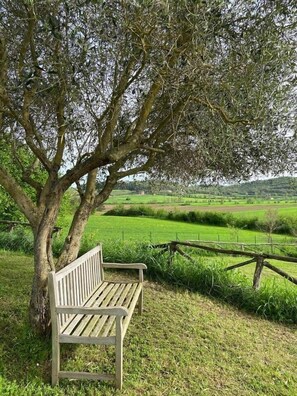 المنطقة المحيطة بالمنشأة