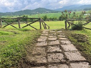 المنطقة المحيطة بالمنشأة