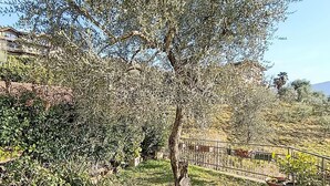 A garden area with potted plants and a metal fence. - Beautiful apartment for 5 guests with WIFI, TV, patio and panoramic view (Riva Del Garda)