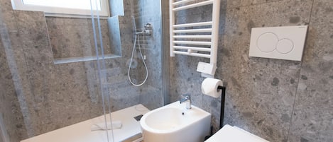 Shower, hair dryer, bidet, towels