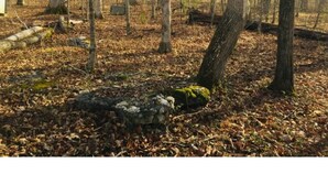 A forested area with a stone structure and a building in the background. - Air bnb or vacation getaway on Cumberland river! (Burnside)