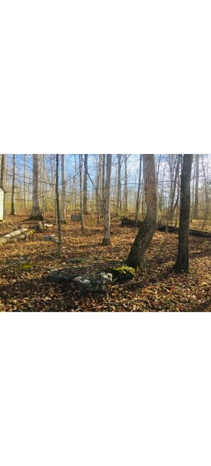 Miscellaneous - Air bnb or vacation getaway on Cumberland river! (Burnside)