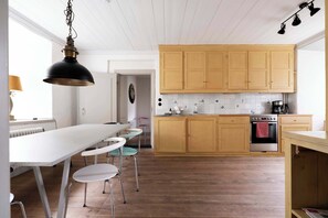 Fridge, oven, stovetop, dishwasher