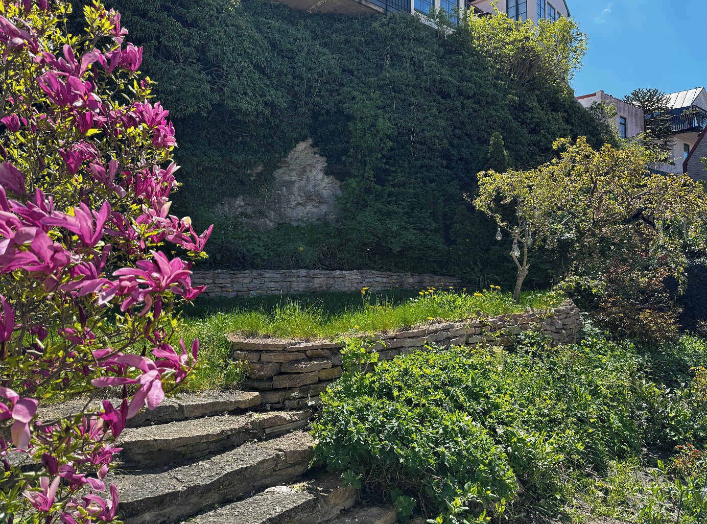 Overnattingsstedets uteområder