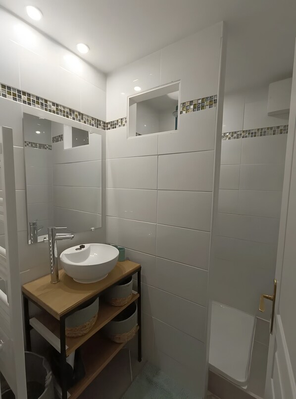 Regadera y secadora de cabello 